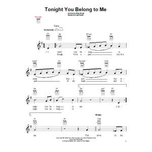 Tonight You Belong To Me