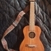Ukulele concierto Flight