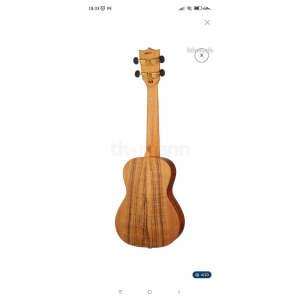 Ukulélé concert Flight