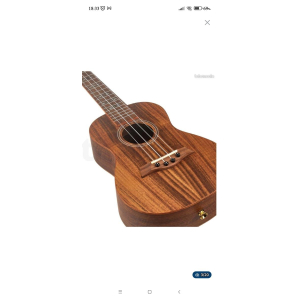 Ukulélé concert Flight