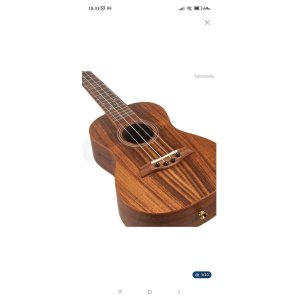 Ukulele concierto Flight