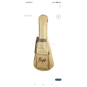 Ukulélé concert Flight