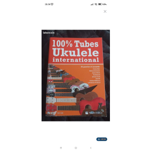 Ukulélé concert Flight