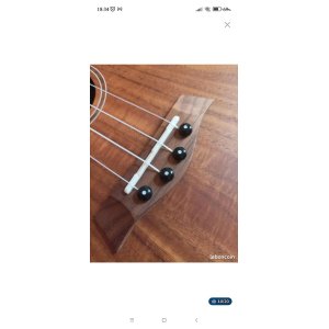 Ukulele concierto Flight