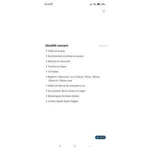 Ukulélé concert Flight