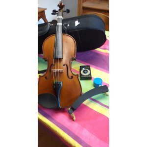 Violín 4/4