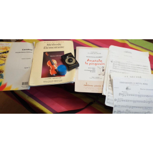 Violon 4/4