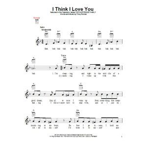 I Think I Love You