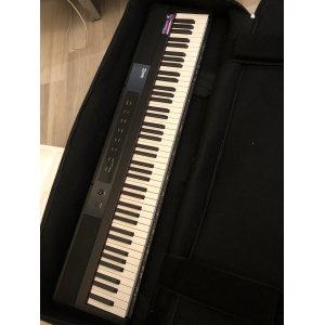 RockJam RJ88DP with carry case
