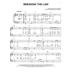 Breaking The Law