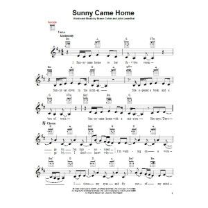 Sunny Came Home