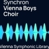 VSL Oferta Educativa - Viena Boys Choir Standard
