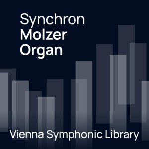 VSL Oferta Educativa - Actualización del Órgano Synchron Molzer
