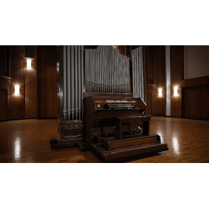 VSL Education Offer - Synchron Molzer Organ Full