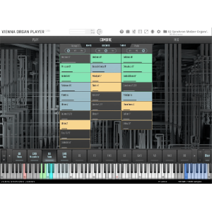 VSL Education Offer - Synchron Molzer Organ Standard
