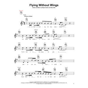 Flying Without Wings