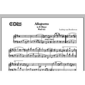 Allegretto In B Minor, Woo 61