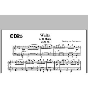 Waltz In D Major, Woo 85