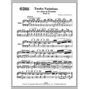 Variations (12) On A Dance By Wrantizky, Woo 71