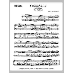 Sonata No. 19 In G Minor, Op. 49, No. 1