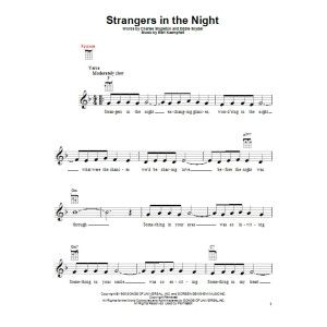 Strangers In The Night