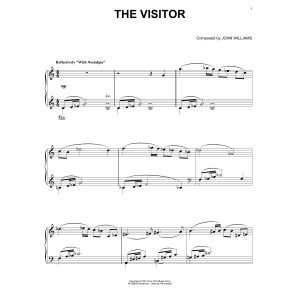 The Visitor
