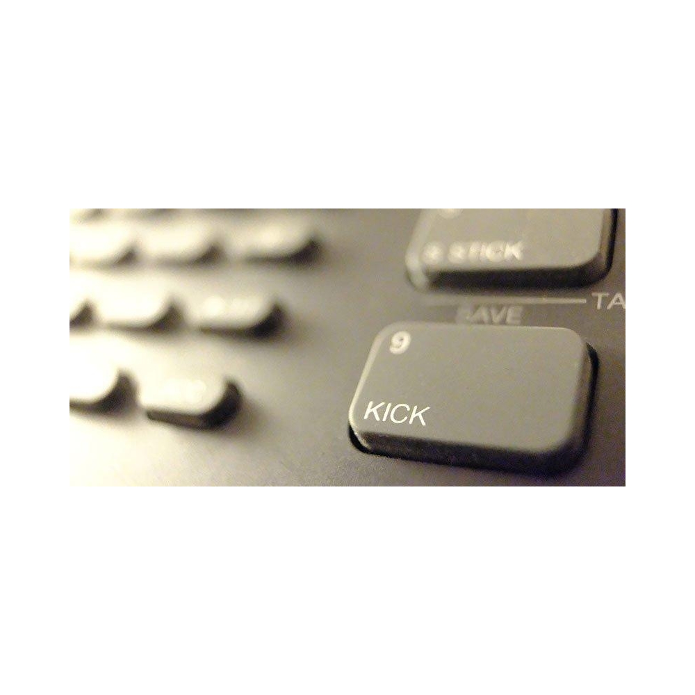 Drop It: The Kick of Electronic Music