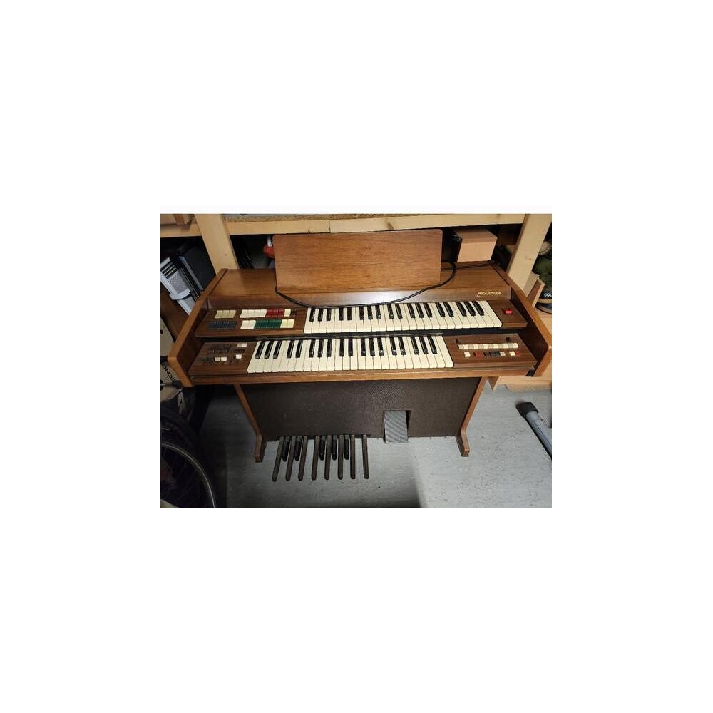 Farfisa Windsor Organ