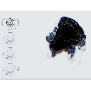 Beatsurfing Random (transfert de licence)