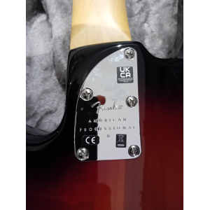 Fender basse american professionnelle II
