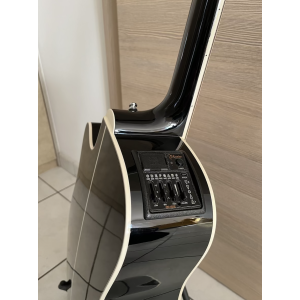 Takamine SW341SC Steve Wariner Electro Acoustic, Black