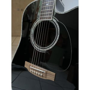 Takamine SW341SC Steve Wariner Electro Acoustic, Black