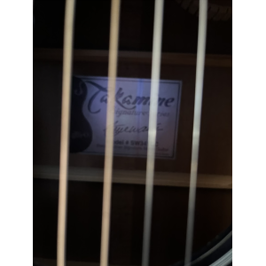 Takamine SW341SC Steve Wariner Electro Acoustic, Black