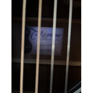 Takamine SW341SC Steve Wariner Electroacústica, Negra