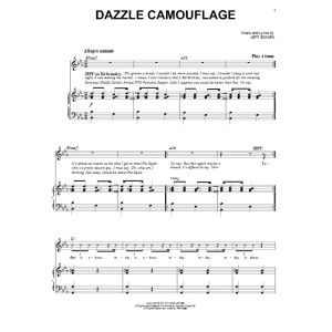 Dazzle Camouflage