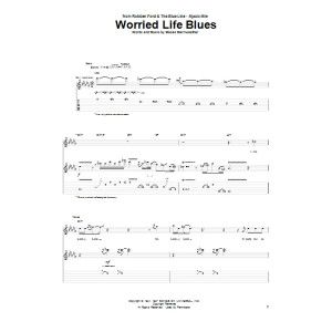 Worried Life Blues