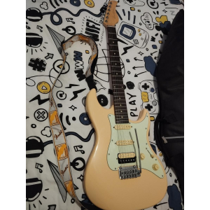 Larry Carlton S3 VWH RN