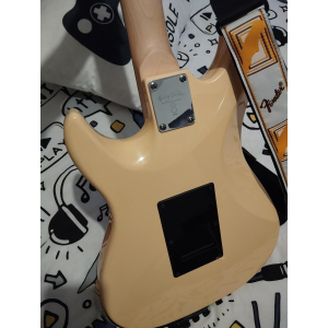 Larry Carlton S3 VWH RN