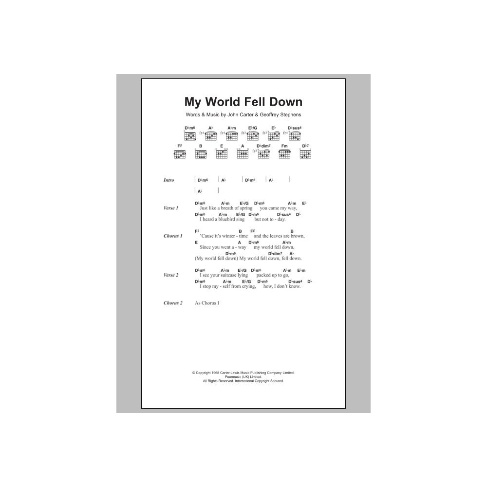 My World Fell Down