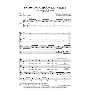 Snow On A Moonlit Night