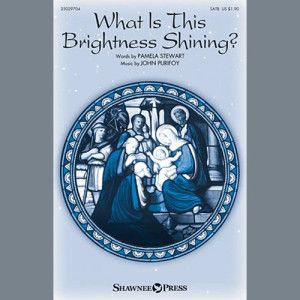 What Is This Brightness Shining?