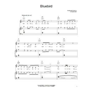Bluebird