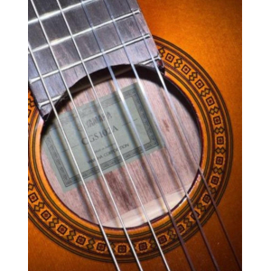 Yamaha Guitare Enfant CGS102A + housse neuve