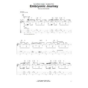 Embryonic Journey