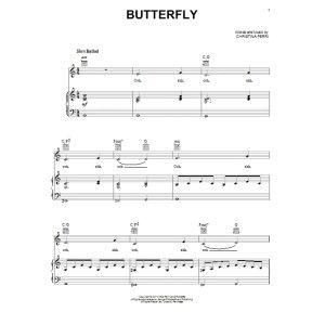 Butterfly