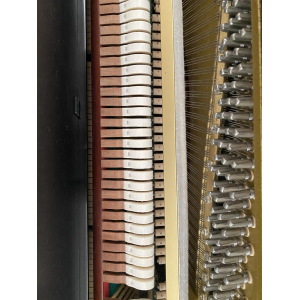 Schimmel Concert Upright Piano