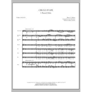 Circle of Life - Violin 1