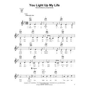 You Light Up My Life
