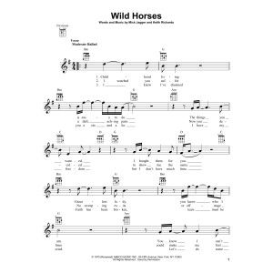Wild Horses