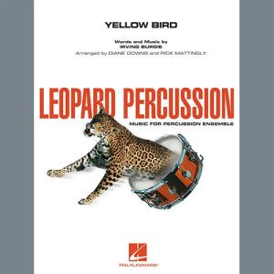 Yellow Bird - Cabasa